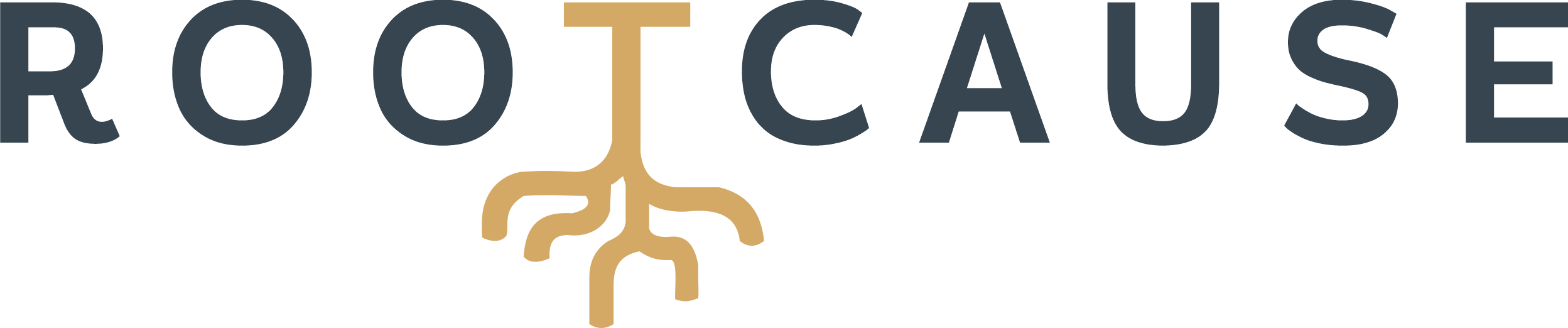 logo image